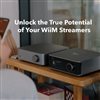VIBELINK AMP